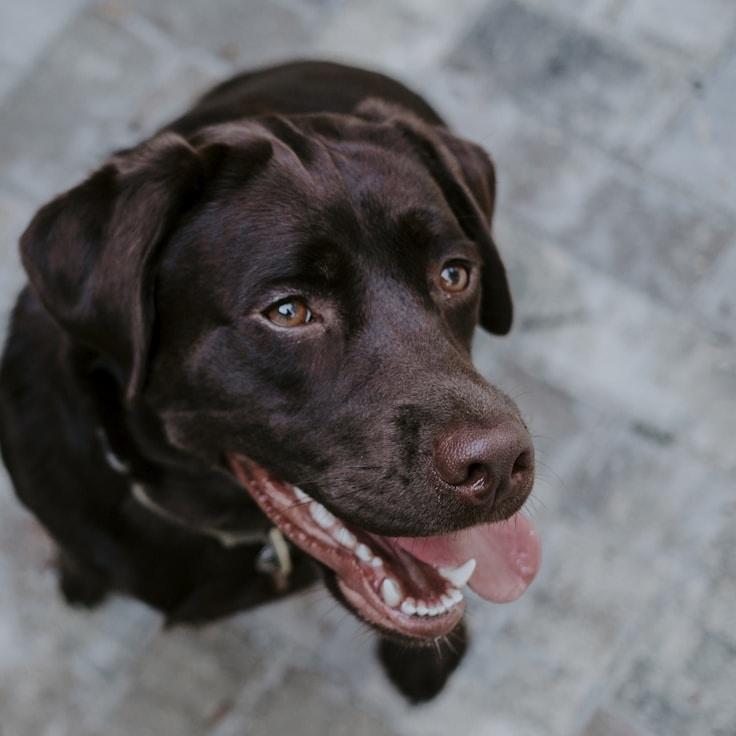 Portrait of Maya, community mentor and Italian cuisine specialist